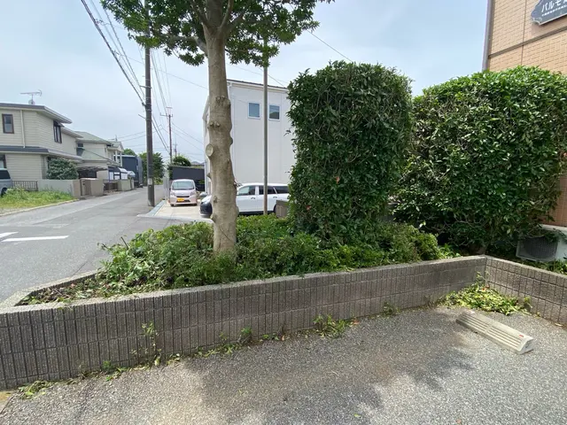 庭木の剪定サービスの画像