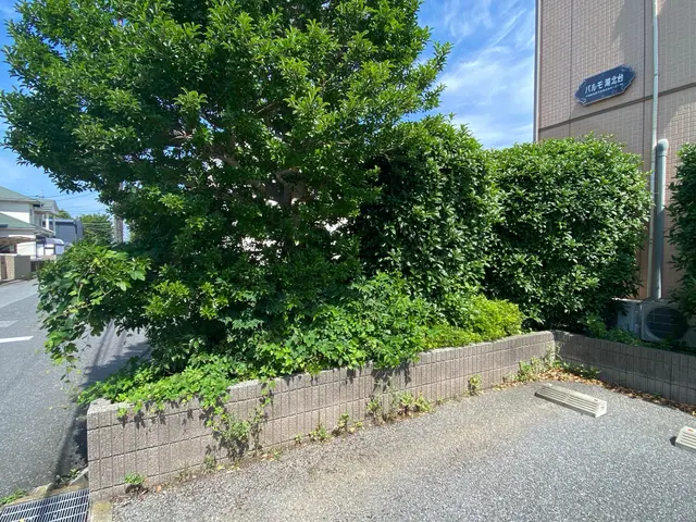 庭木の剪定サービスの画像