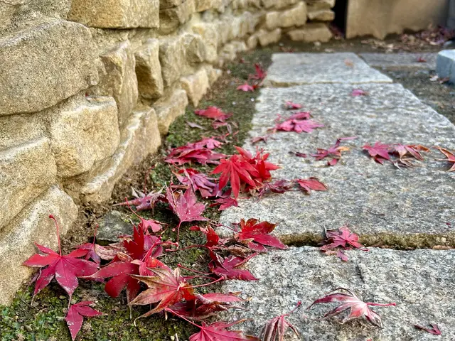 3年間100件以上の実績！大手企業も信頼するスペシャリストがご要望に完全対応サービスの画像