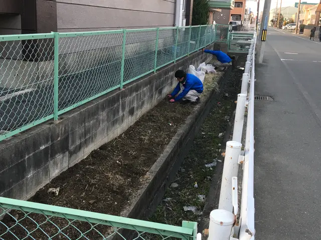 草取りでのお困りの方ははいらっしゃいますか?サービスの画像