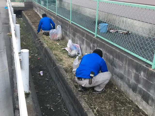 草取りでのお困りの方ははいらっしゃいますか?サービスの画像