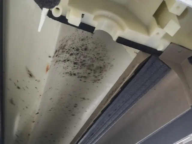 ☆冷房終わり！溜まったカビを落としてスッキリと！消臭除菌洗浄！現金払いお特です☆サービスの画像