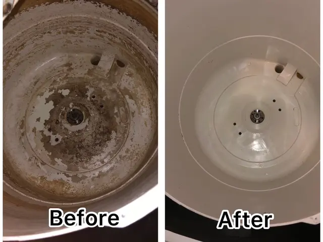 ☆防汚れコーティング0円☆洗濯機を隅々徹底的に除菌洗浄します！サービスの画像