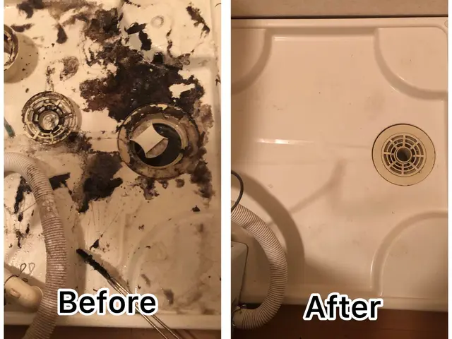 ☆防汚れコーティング0円☆洗濯機を隅々徹底的に除菌洗浄します！サービスの画像