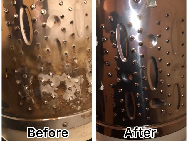 ☆防汚れコーティング0円☆洗濯機を隅々徹底的に除菌洗浄します！サービスの画像