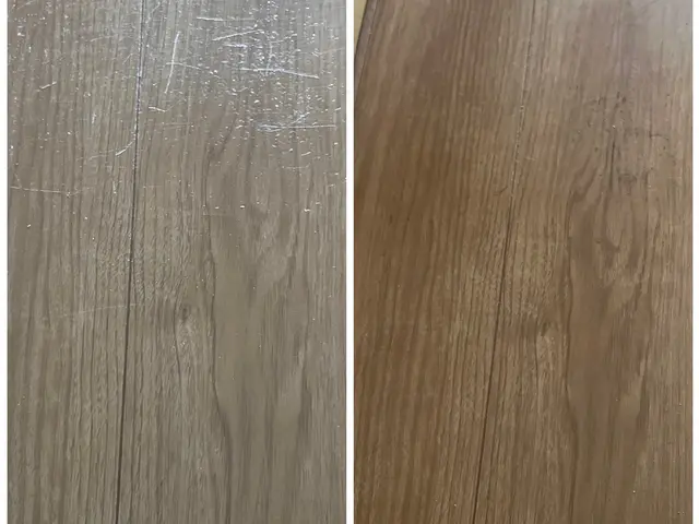 【10月出店】100件以上の実績！ペット傷も完璧修復！サービスの画像