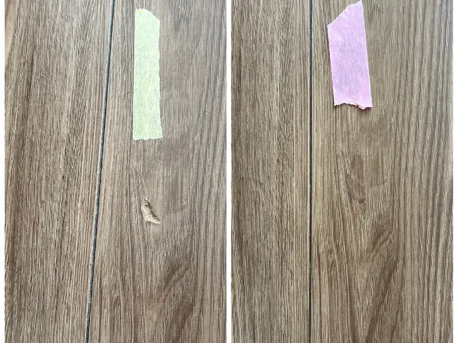 【10月出店】100件以上の実績！ペット傷も完璧修復！サービスの画像