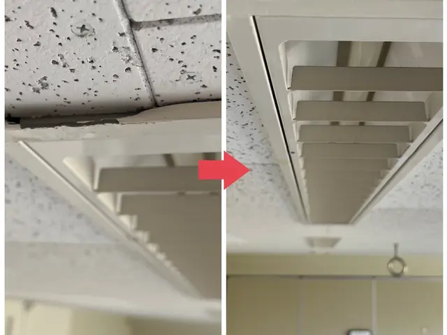 【10月出店】100件以上の実績！ペット傷も完璧修復！サービスの画像