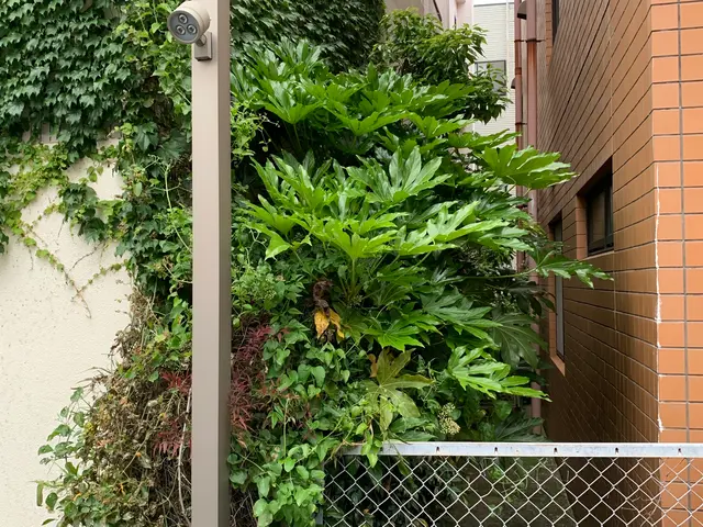 プロの技術でご満足いただけるように心を込めて作業いたしますサービスの画像