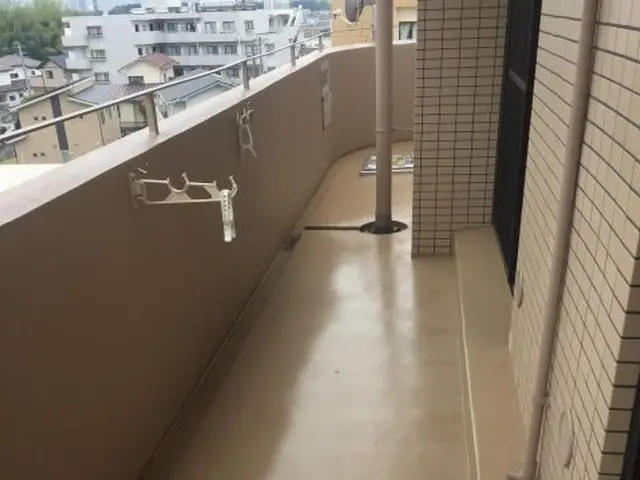 コケ・花粉・土汚れ等も洗浄機と手作業でキレイに致します！サービスの画像