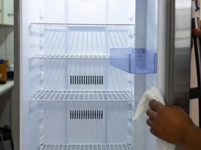 ピカピカ冷蔵庫クリーニングサービスの画像