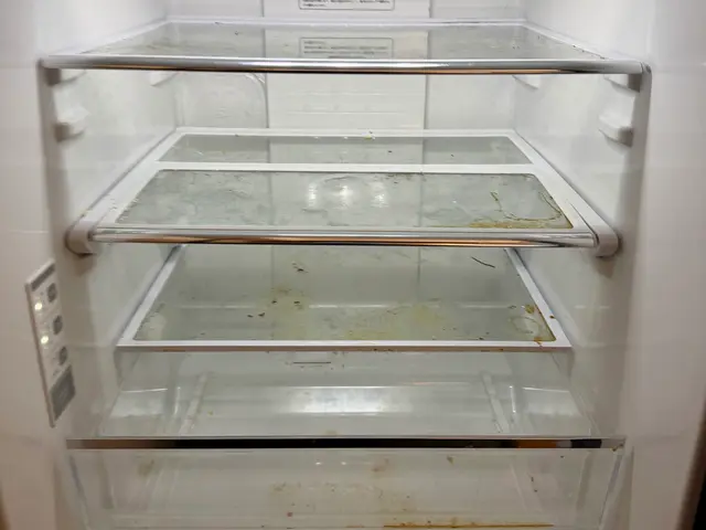 ピカピカ冷蔵庫クリーニングサービスの画像