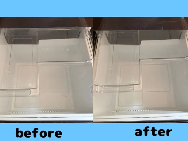 ピカピカ冷蔵庫クリーニングサービスの画像