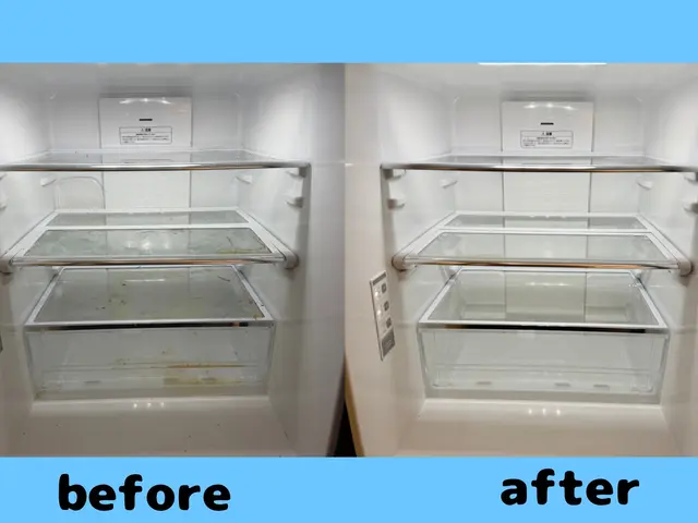 ピカピカ冷蔵庫クリーニングサービスの画像