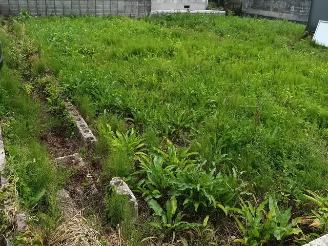 防草シート施工サービスの画像