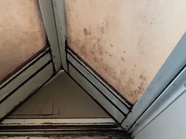 浴槽エプロン内清掃含めてこの料金！年末前に早めの予約どうぞ。サービスの画像