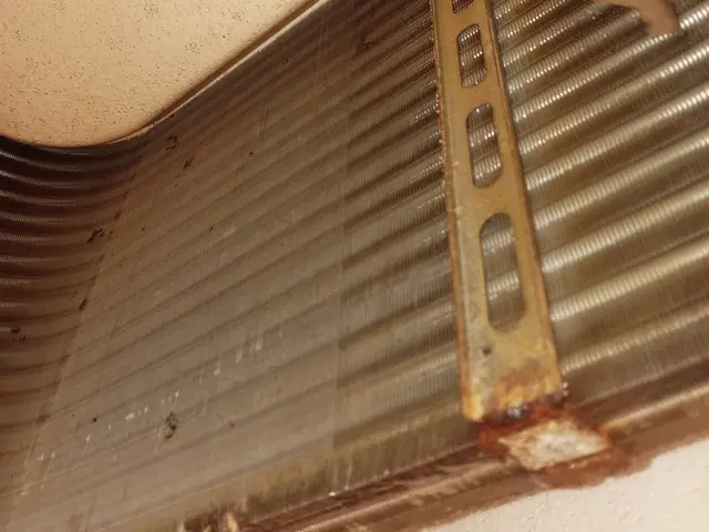 新春キャンペーン★飲食店・美容院・病院など実績多数！全機種対応★家庭用も対応。※サービスの画像