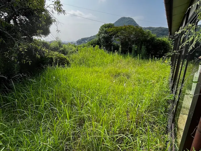 休日もご相談可能！女性スタッフ同行で安心のお庭のお手入れサービスサービスの画像