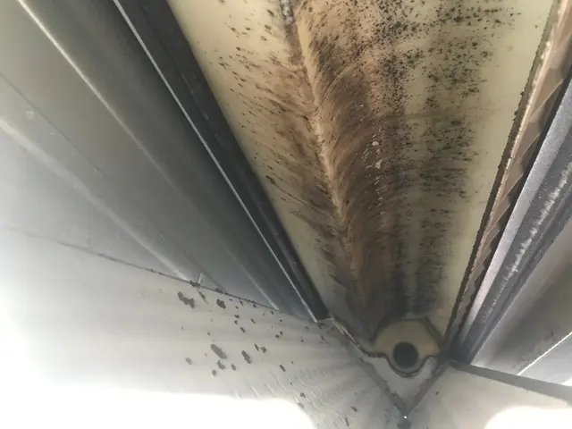 完全分解天井埋込エアコンクリーニング　防カビコートつき！サービスの画像