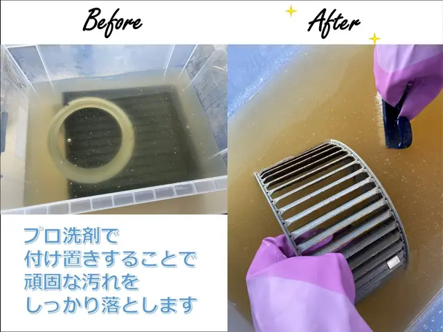 店長直々に伺う多言語対応！営業時間外も相談可能な迅速丁寧サービスサービスの画像