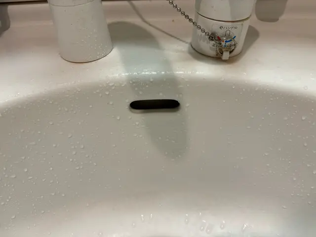 ★新座市中心に活動中★洗面所クリーニングサービスの画像