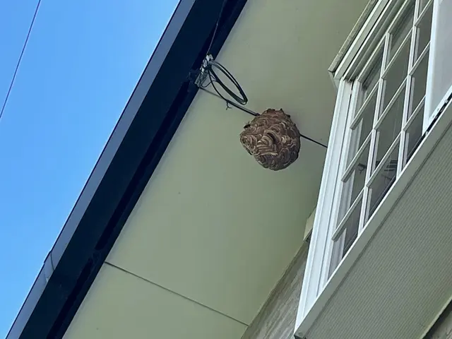 ☆再発無料☆月500件実績有◎戻り蜂対策もしっかりで安心！24H カード決済◎サービスの画像