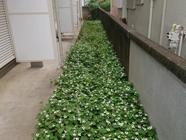 【職人歴10年以上の経験】◆年中無休◆駐車代お店負担◆損害保険加入店◆サービスの画像