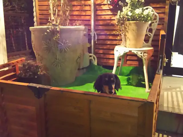 現場下見必須!気になること困り事お気軽に営業時間外や対応地域外も可能な限り!サービスの画像