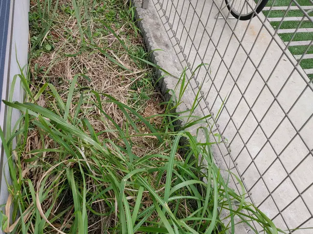 現場下見必須!気になること困り事お気軽に営業時間外や対応地域外も可能な限り!サービスの画像