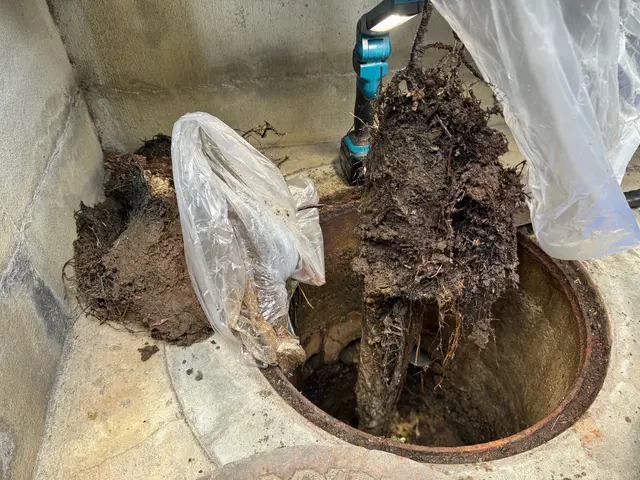 水回りのことならお任せください！地域密着の水道修理専門店です◎サービスの画像