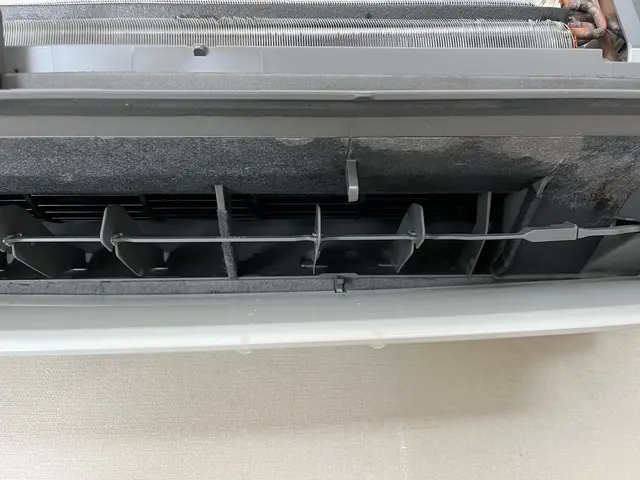 12月予約枠◎！12月限定2台目以降8000円複数台割引◎わんにゃん大歓迎◎サービスの画像