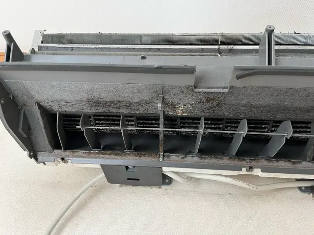 12月予約枠◎！12月限定2台目以降8000円複数台割引◎わんにゃん大歓迎◎サービスの画像