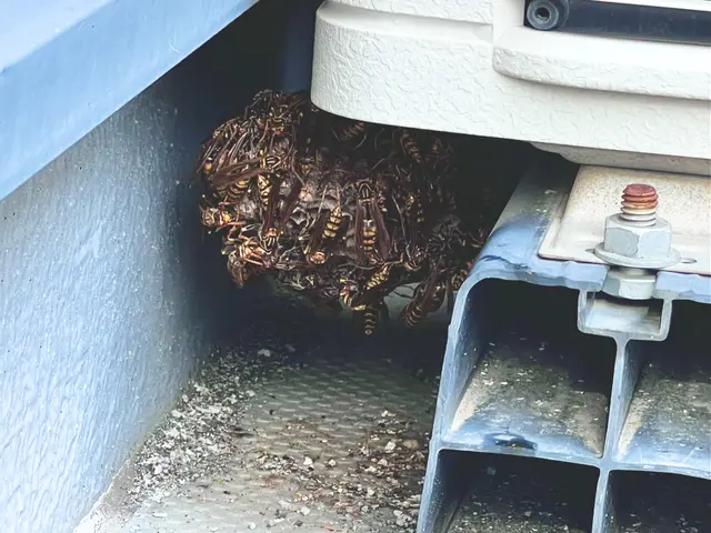 【日本防除品質管理機構 - 優良事業者認定店】が手掛け蜂の巣駆除!!サービスの画像