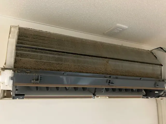 【100%植物由来洗剤使用】☆オーガニック＆プロの技術でエアコンクリーニング☆サービスの画像