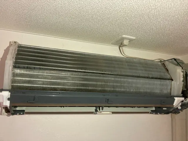 【100%植物由来洗剤使用】☆オーガニック＆プロの技術でエアコンクリーニング☆サービスの画像