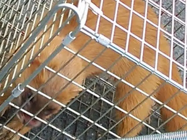 《業界実績15年！》自社スタッフが全て対応！年中無休！女性スタッフの対応可能ですサービスの画像