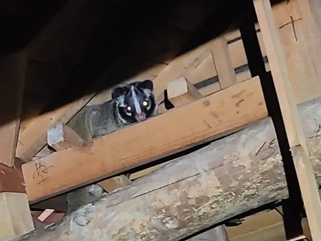 《業界実績15年！》自社スタッフが全て対応！年中無休！女性スタッフの対応可能ですサービスの画像