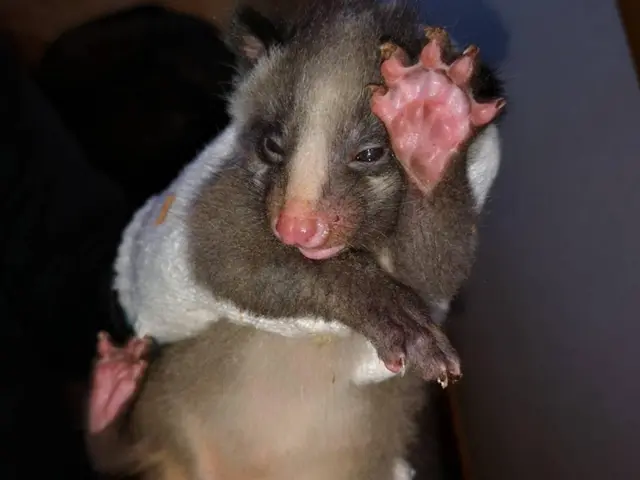 《業界実績15年！》自社スタッフが全て対応！年中無休！女性スタッフの対応可能ですサービスの画像