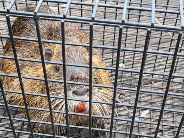 《業界実績15年！》自社スタッフが全て対応！年中無休！女性スタッフの対応可能ですサービスの画像