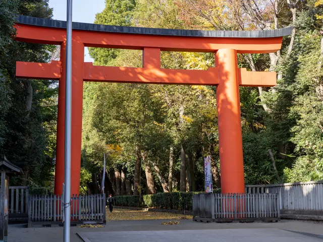 【プロ機材使用】【平均500枚以上】思い出に残るお宮参り写真をお撮りします！サービスの画像