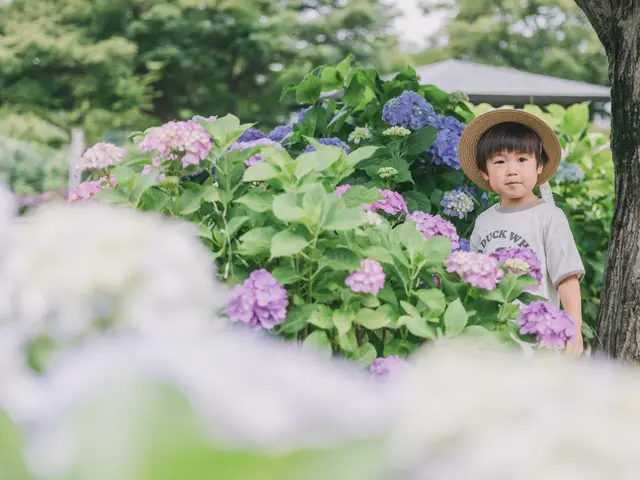 【保育士歴12年】初めてでも安心！こどもに寄り添って撮影𖧷 ⁺.
