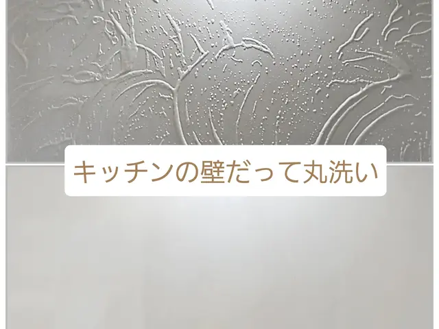 ★男女2名1組で徹底清掃／壁、扉、油はね、五徳、サービスの画像