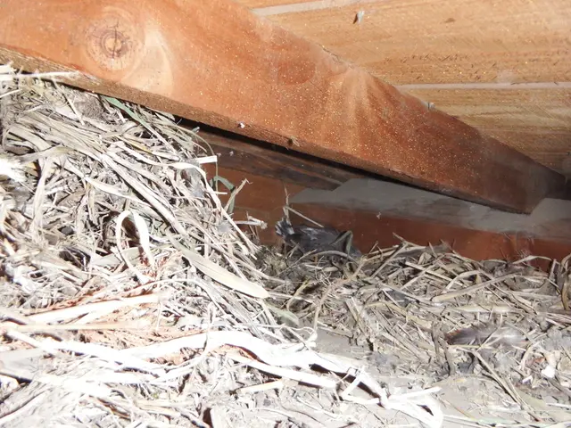 【防除資格保有者で安心】損害保険加入済◉あなたの心配事は㈱住環にお任せください。サービスの画像