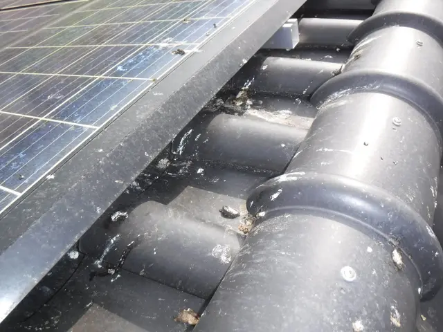 【防除資格保有者で安心】損害保険加入済◉あなたの心配事は㈱住環にお任せください。サービスの画像