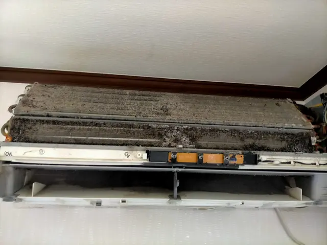 前日対応可能！ご相談ください。今だけ2台目以降低価格！サービスの画像