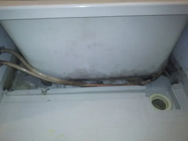 浴室快適クリーニングサービスの画像