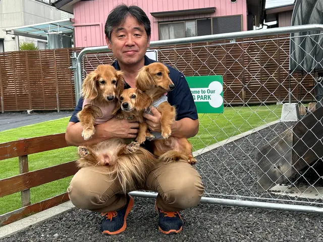 プロの技術でご満足いただけるように心を込めて作業いたしますサービスの画像
