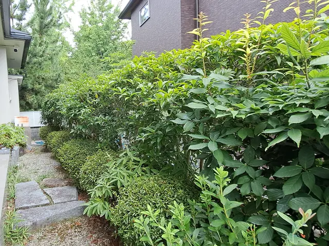 《新規》風と緑に命を宿す庭造り！主の大切なお庭を良き心の郷里にと心掛けています。サービスの画像