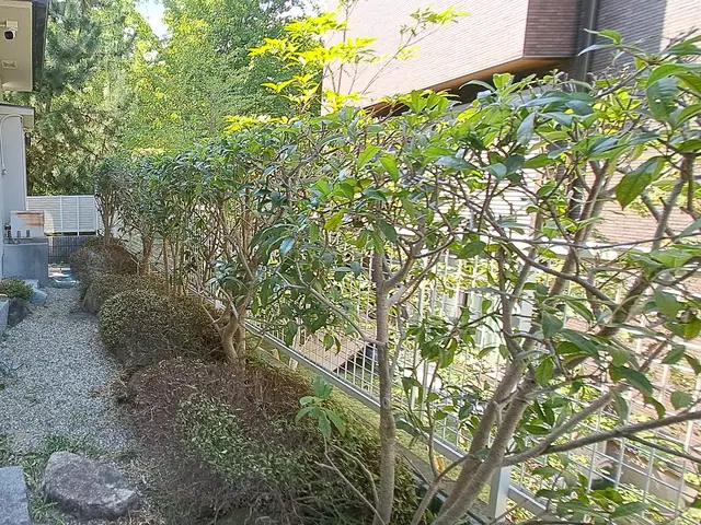 《新規》風と緑に命を宿す庭造り！主の大切なお庭を良き心の郷里にと心掛けています。サービスの画像