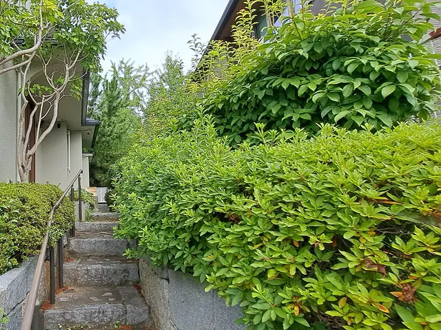 《新規》風と緑に命を宿す庭造り！主の大切なお庭を良き心の郷里にと心掛けています。サービスの画像